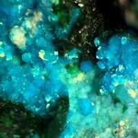 Sampleite & Atacamite