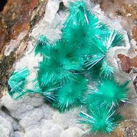 Brochantite & Chalcoalumite