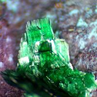 Clinoatacamite