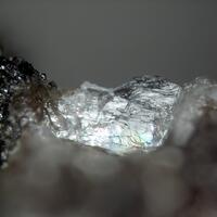 Trimerite