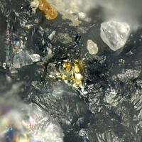 Gold & Stibnite