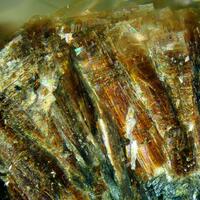 Wildenauerite