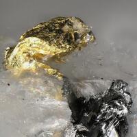 Gold On Tetradymite