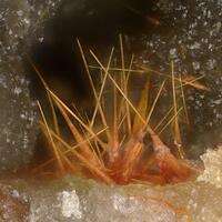 Ludlockite