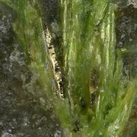 Droninoite