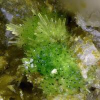 Arthurite