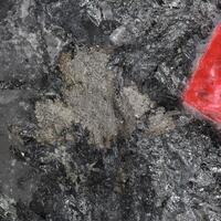 Aurostibite