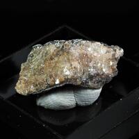 Nothern Minerals: 18 Apr - 25 Apr 2024