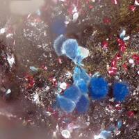 Connellite With Cuprite