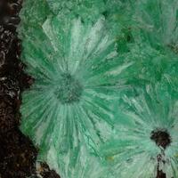 Zincolivenite