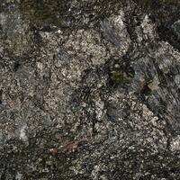 Troilite