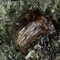 Tausonite