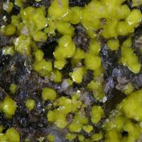 Sengierite