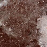 Vendidaite