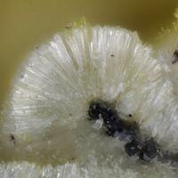 Adranosite-(Fe)