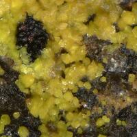 Carnotite