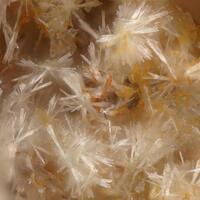 Nothern Minerals: 01 May - 08 May 2025