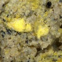 Alwilkinsite-(Y)