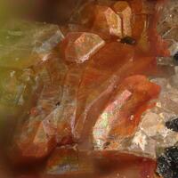 Dalyite