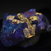 Nothern Minerals: 19 Jun - 26 Jun 2025