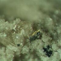 Holfertite