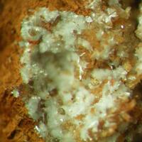 Brianyoungite & Hemimorphite