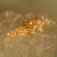 Native Gold In Quartz