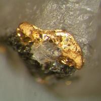 Native Gold & Tetradymite