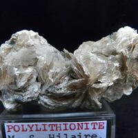 Polylithionite