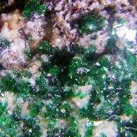 Paratacamite-(Mg)