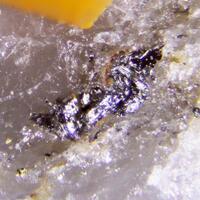 Pilsenite