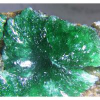 Philipsburgite