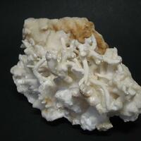 Aragonite Var Flos Ferri