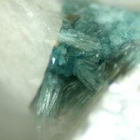 Matioliite & Fluorapatite