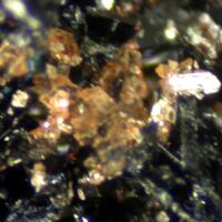 Rittmannite & Vivianite