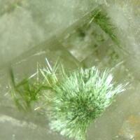 Agardite-(Y) Fluorite & Olivenite
