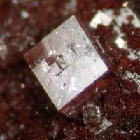 Chabazite & Muscovite