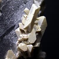 Hydroxylherderite & Quartz