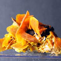 Wulfenite