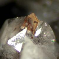 Polycrase-(Y) & Quartz