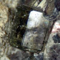 Apatite & Muscovite