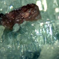 Diopside Titanite & Clinochlore