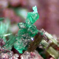 Cornwallite Olivenite & Malachite