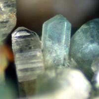 Beryllonite & Apatite