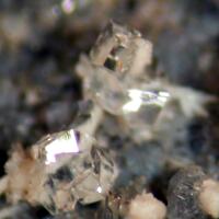 Montesommaite & Phillipsite