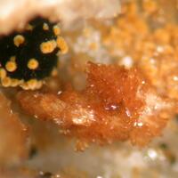 Jahnsite-(NaMnMg) Cacoxenite & Frondelite