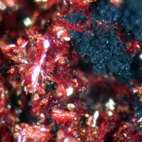Carminite Covellite & Segnitite