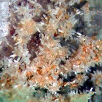 Rhabdophane-(Ce)