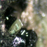 Tavorite & Barbosalite