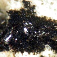 Schoonerite